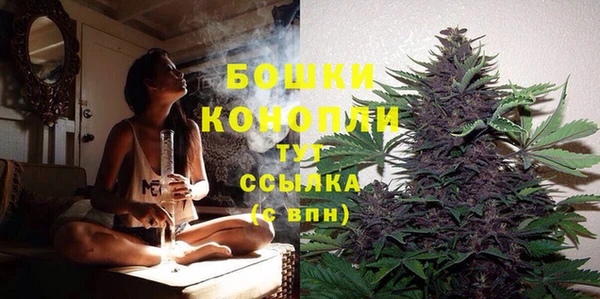 соль ск Богданович