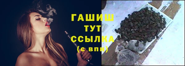 спиды Богородицк