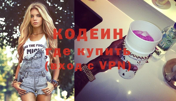 спиды Богородицк