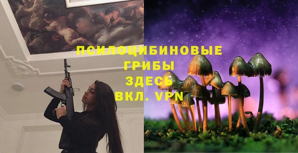 винт Верхний Тагил