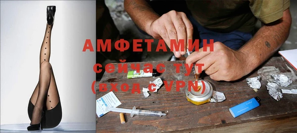 спиды Богородицк