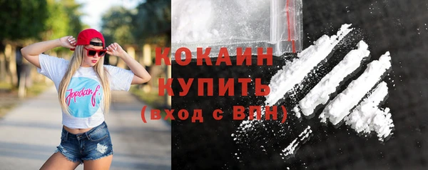 спиды Богородицк