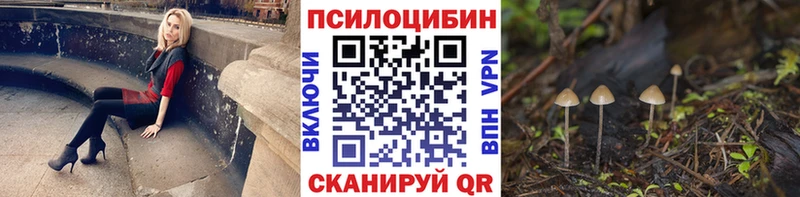 Галлюциногенные грибы Psilocybe  Калач-на-Дону 